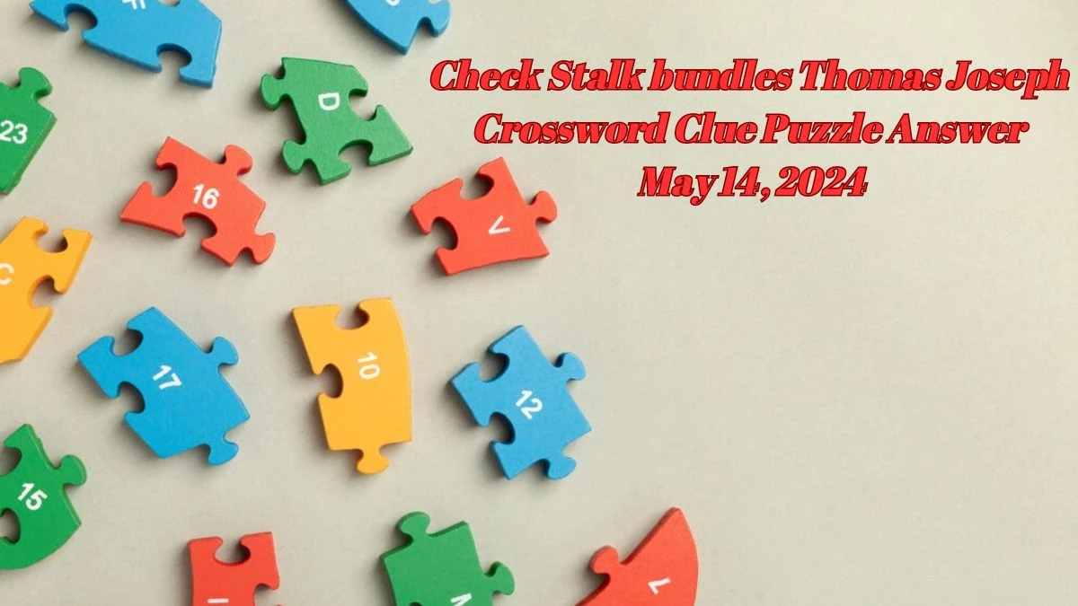 Check Stalk bundles Thomas Joseph Crossword Clue Puzzle Answer May 14, 2024