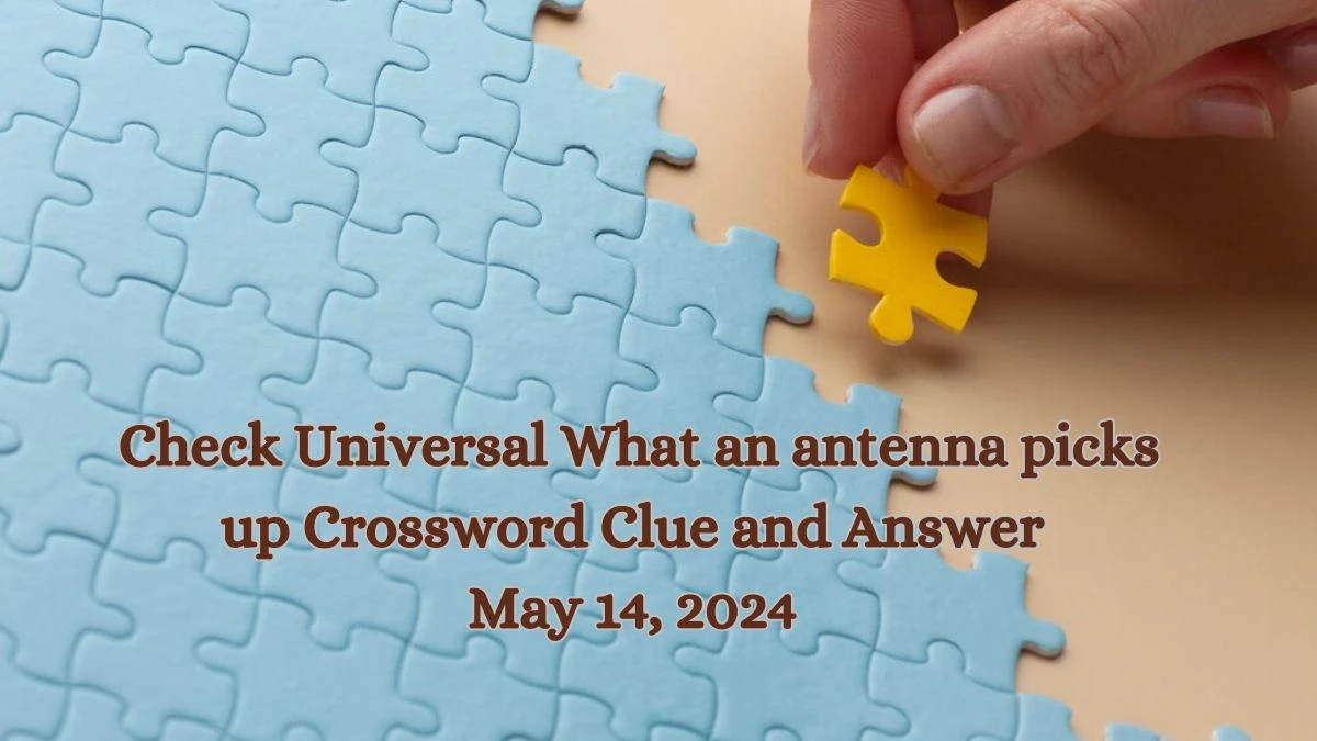 Check Universal What an antenna picks up Crossword Clue and Answer May 14, 2024 