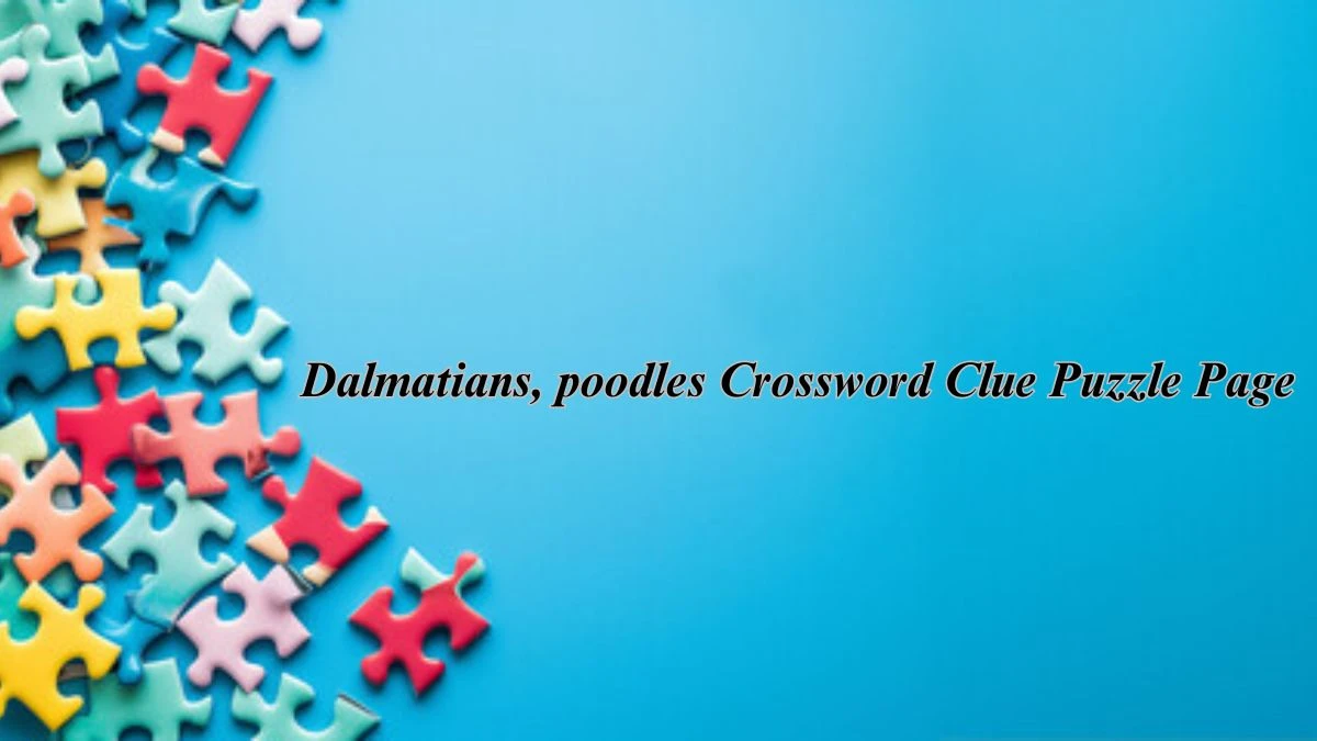 Dalmatians, poodles Crossword Clue Puzzle Page