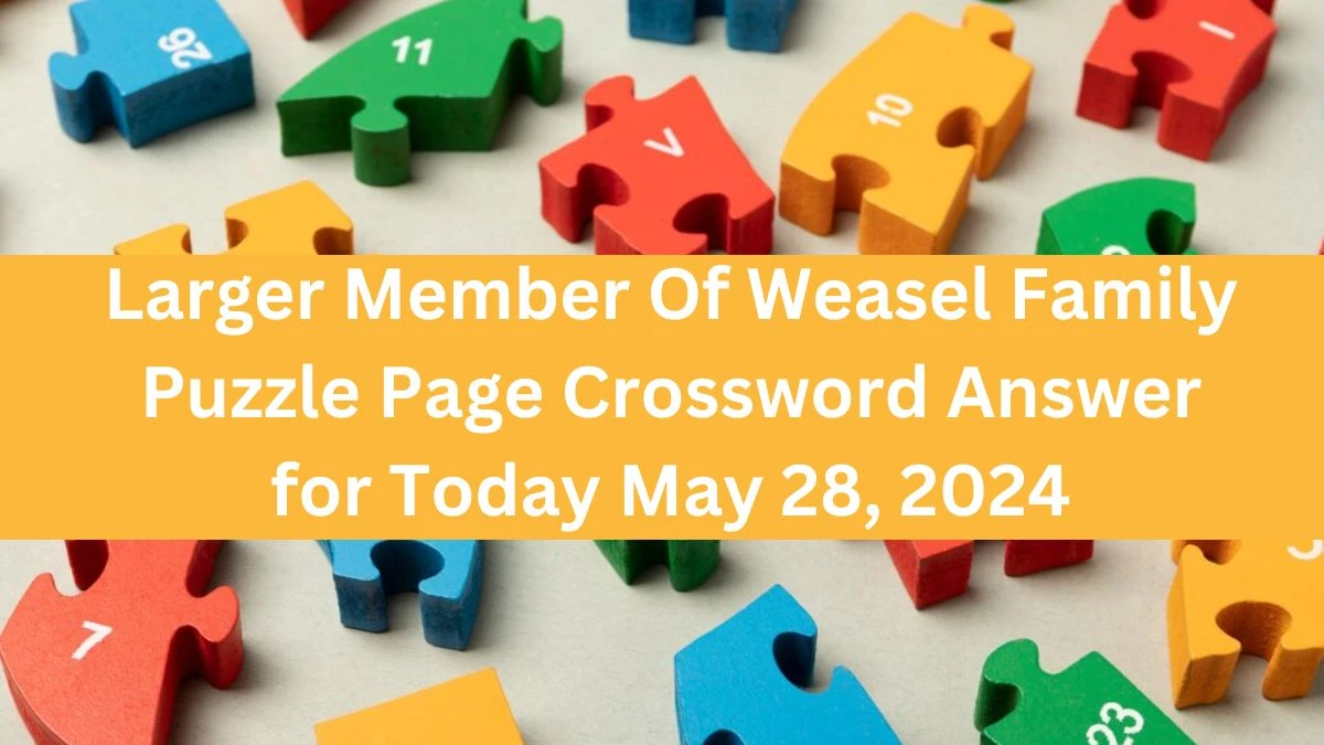 Larger Member Of Weasel Family Puzzle Page Crossword Answer for Today May 28, 2024