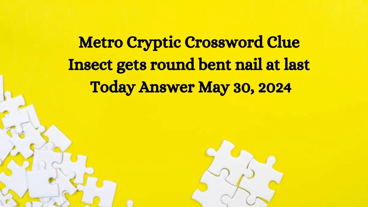 Metro Cryptic Crossword Clue Insect gets round bent nail at last Today Answer May 30, 2024