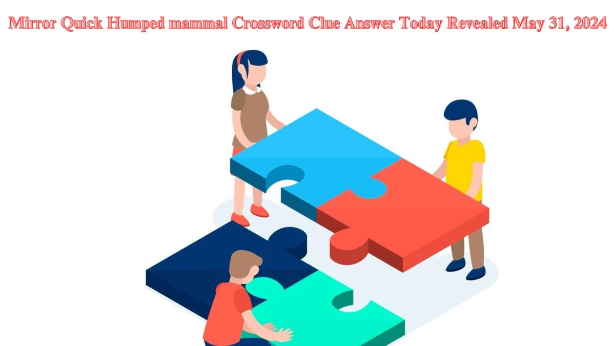 Mirror Quick Humped mammal Crossword Clue Answer Today Revealed May 31, 2024