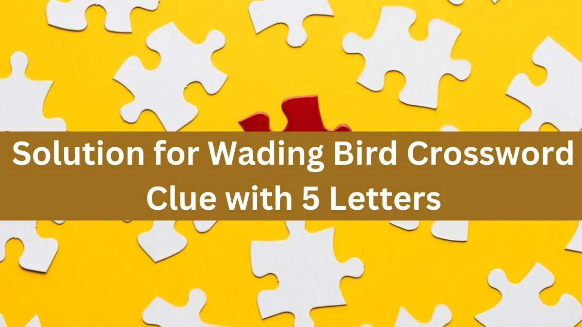 Solution for Wading Bird Crossword Clue with 5 Letters