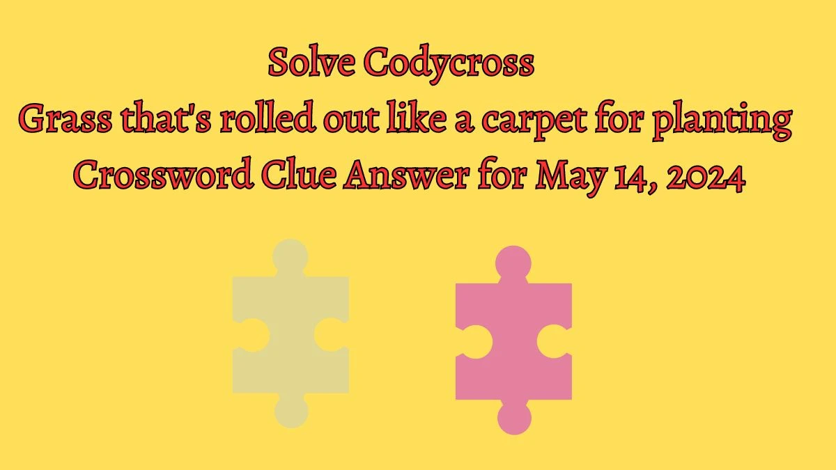 Solve Codycross Grass that's rolled out like a carpet for planting Crossword Clue Answer for May 14, 2024