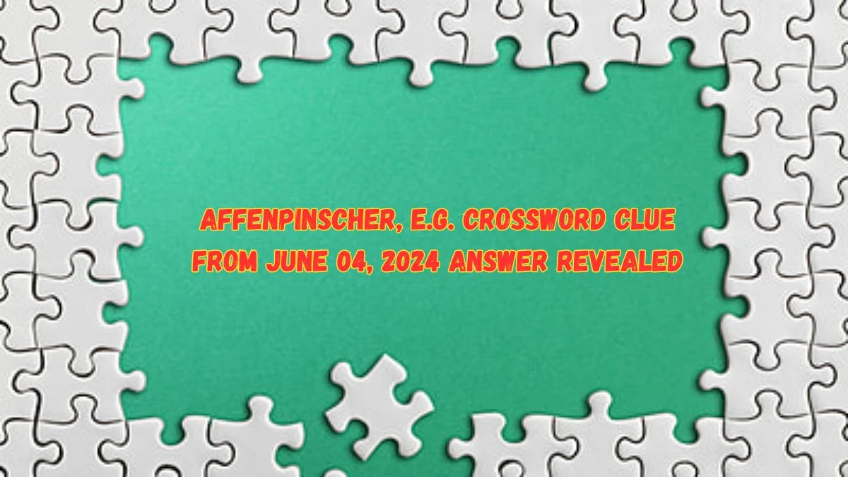 Affenpinscher, e.g. Crossword Clue from June 04, 2024 Answer Revealed