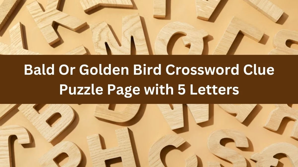 Bald Or Golden Bird Crossword Clue Puzzle Page with 5 Letters