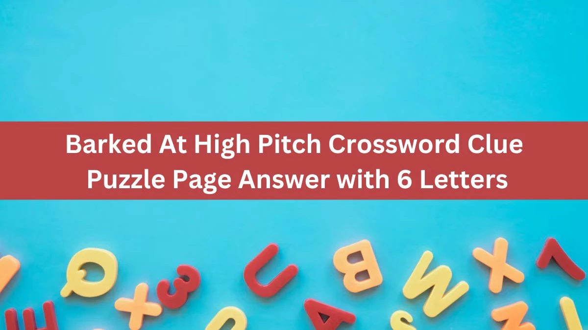Barked At High Pitch Crossword Clue Puzzle Page Answer with 6 Letters
