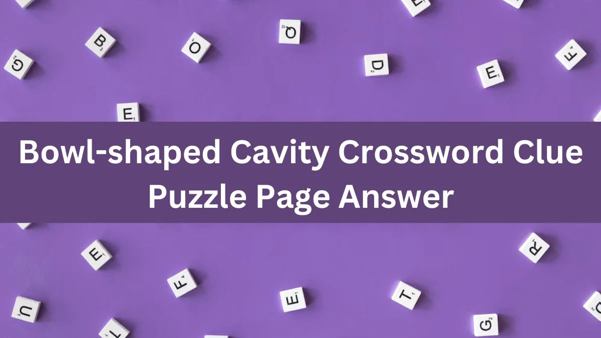 Bowl-shaped Cavity Crossword Clue Puzzle Page Answer