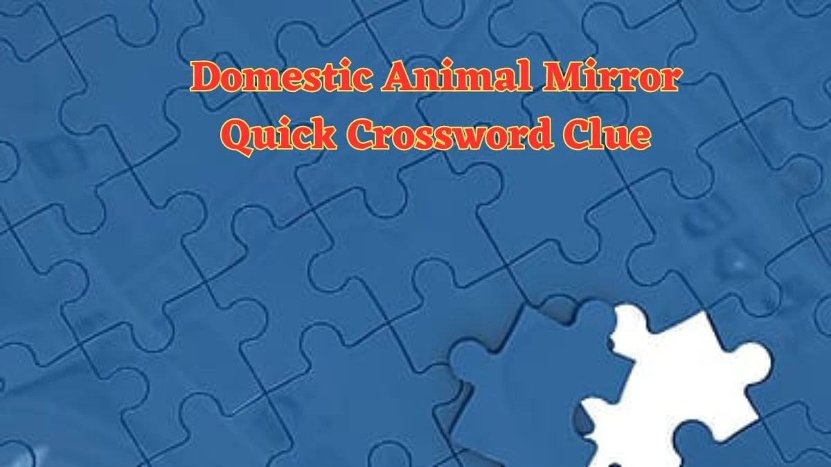 Domestic Animal Mirror Quick Crossword Clue with 3 Letters from June 24, 2024 Answer Revealed