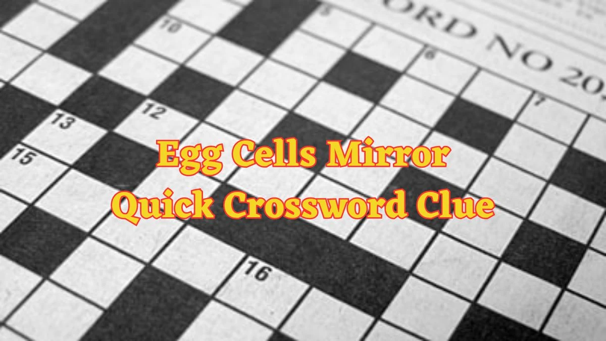 Egg Cells Mirror Quick Crossword Clue with 3 Letters from June 15, 2024 Answer Revealed