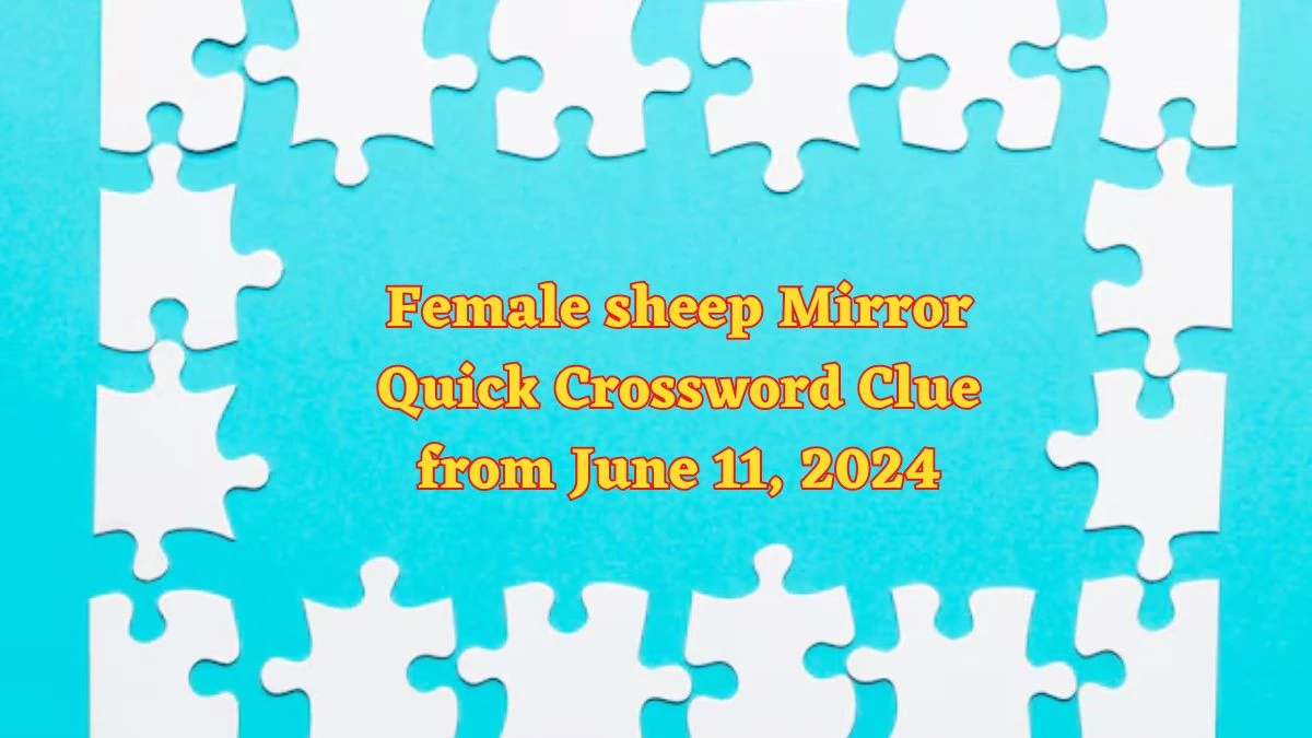 Female sheep Mirror Quick Crossword Clue from June 11, 2024