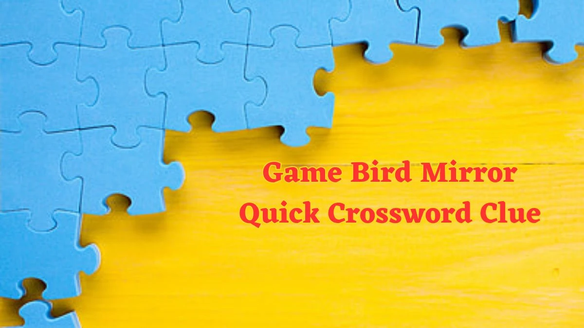 Game Bird Mirror Quick Crossword Clue with 6 Letters from June 18, 2024 Answer Revealed