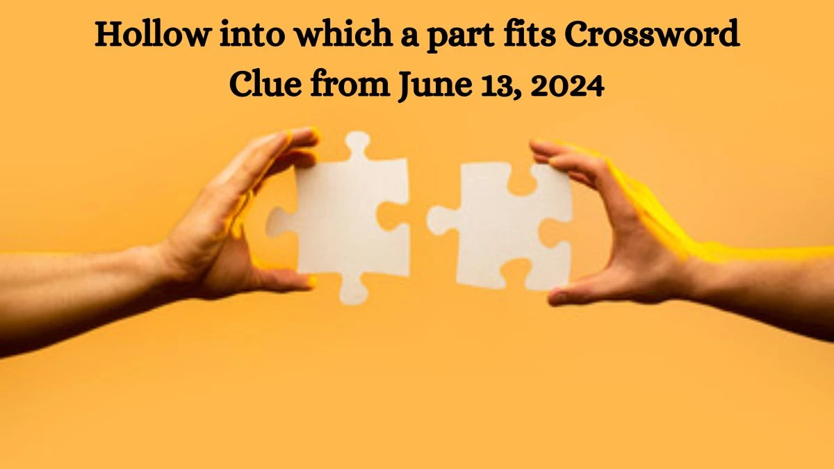 Hollow into which a part fits Crossword Clue from June 13, 2024
