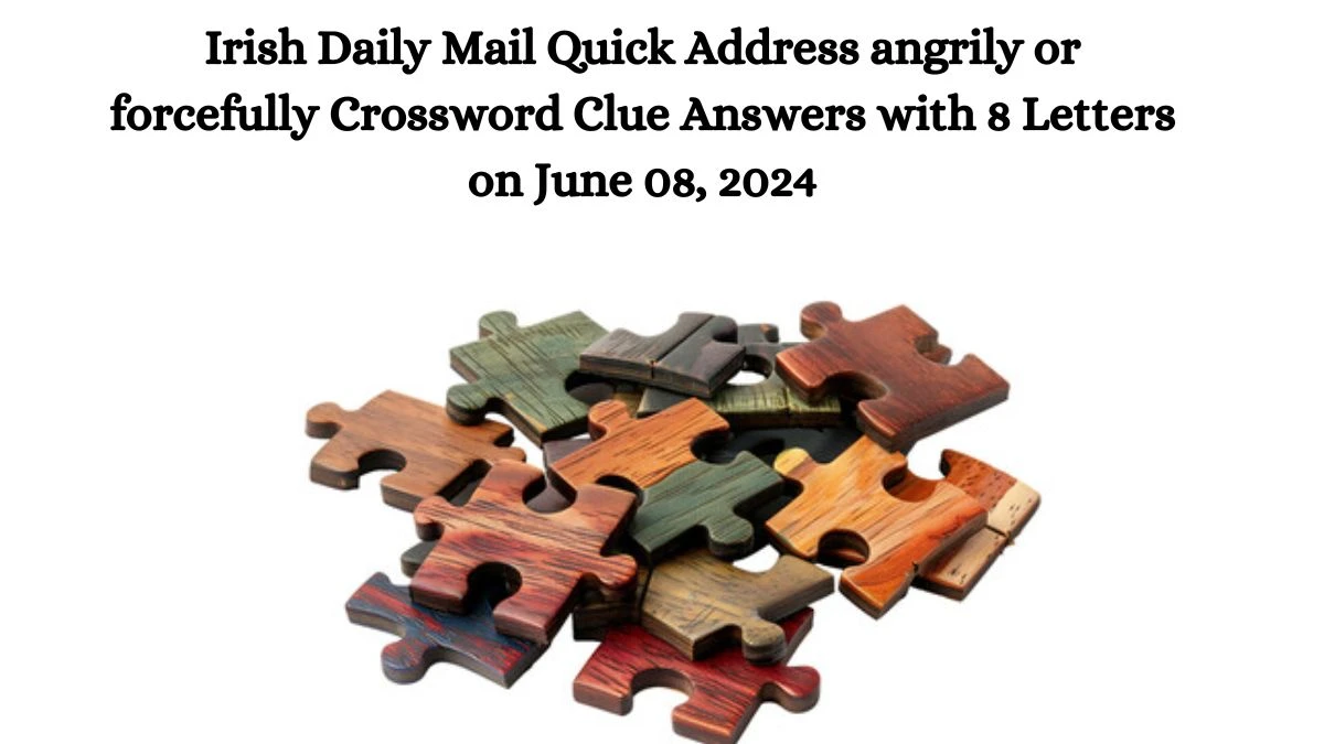 Irish Daily Mail Quick Address angrily or forcefully Crossword Clue Answers with 8 Letters on June 08, 2024