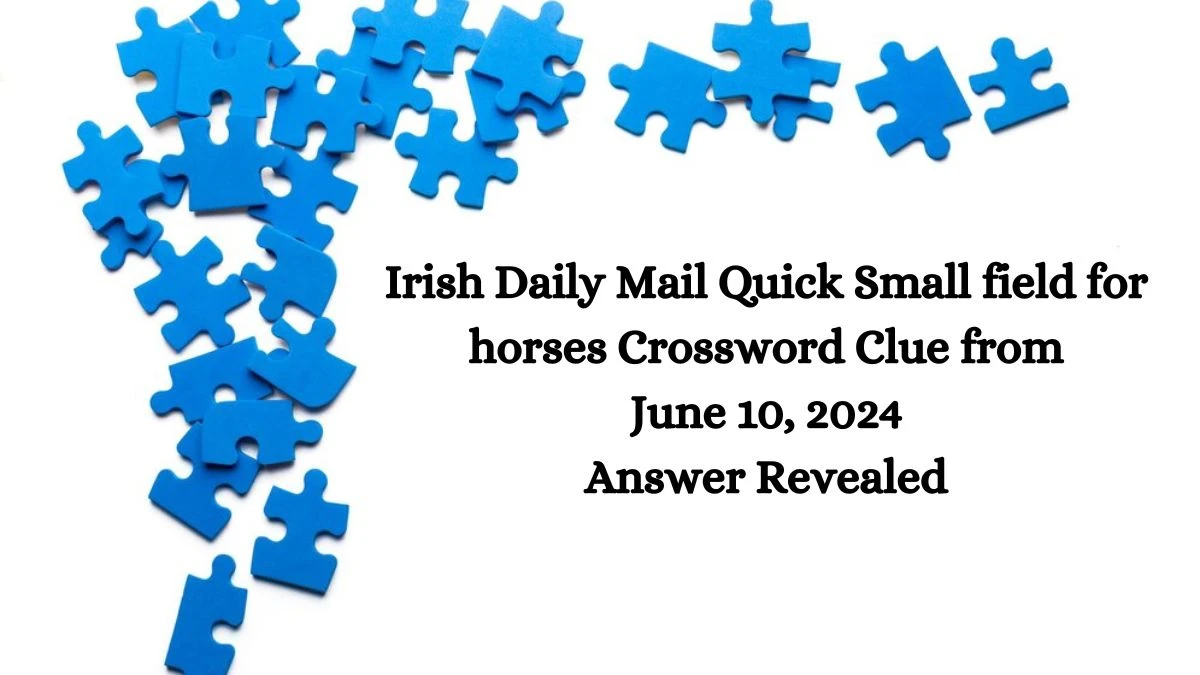 Irish Daily Mail Quick Small field for horses Crossword Clue from June 10, 2024 Answer Revealed