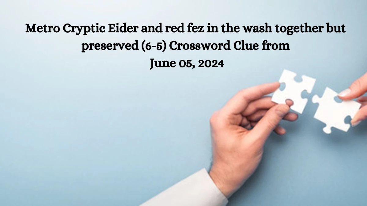 Metro Cryptic Eider and red fez in the wash together but preserved (6-5) Crossword Clue from June 05, 2024