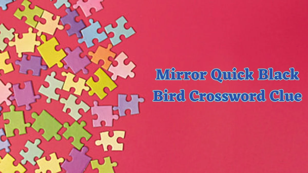 Mirror Quick Black Bird Crossword Clue and Answer for June 15, 2024