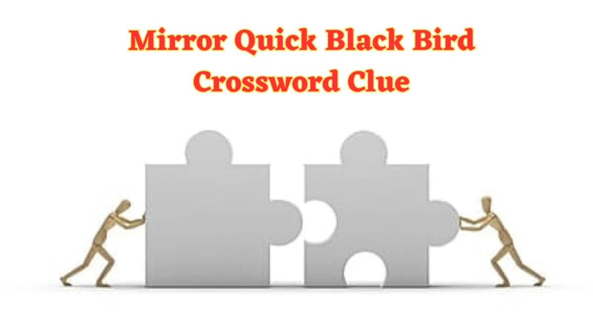 Mirror Quick Black Bird Crossword Clue with 4 Letters from June 24, 2024 Answer Revealed