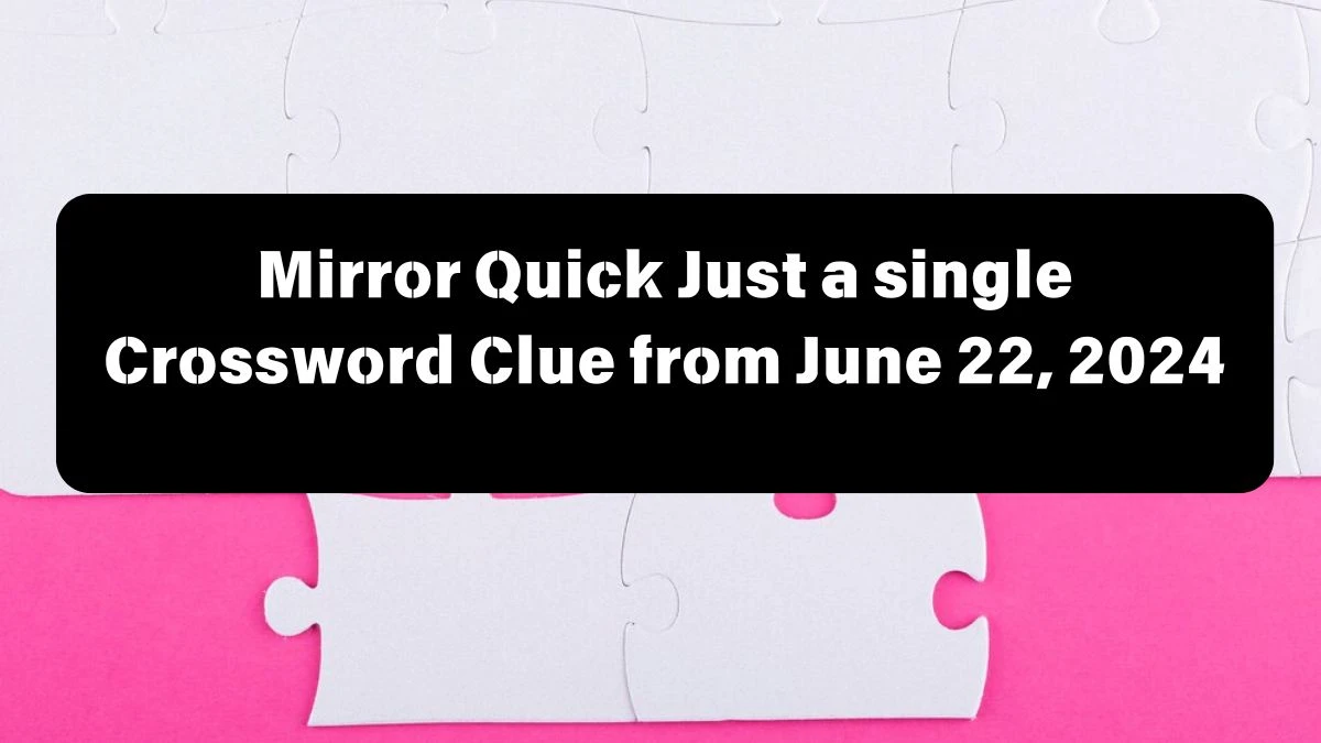 Mirror Quick Just a single Crossword Clue from June 22, 2024
