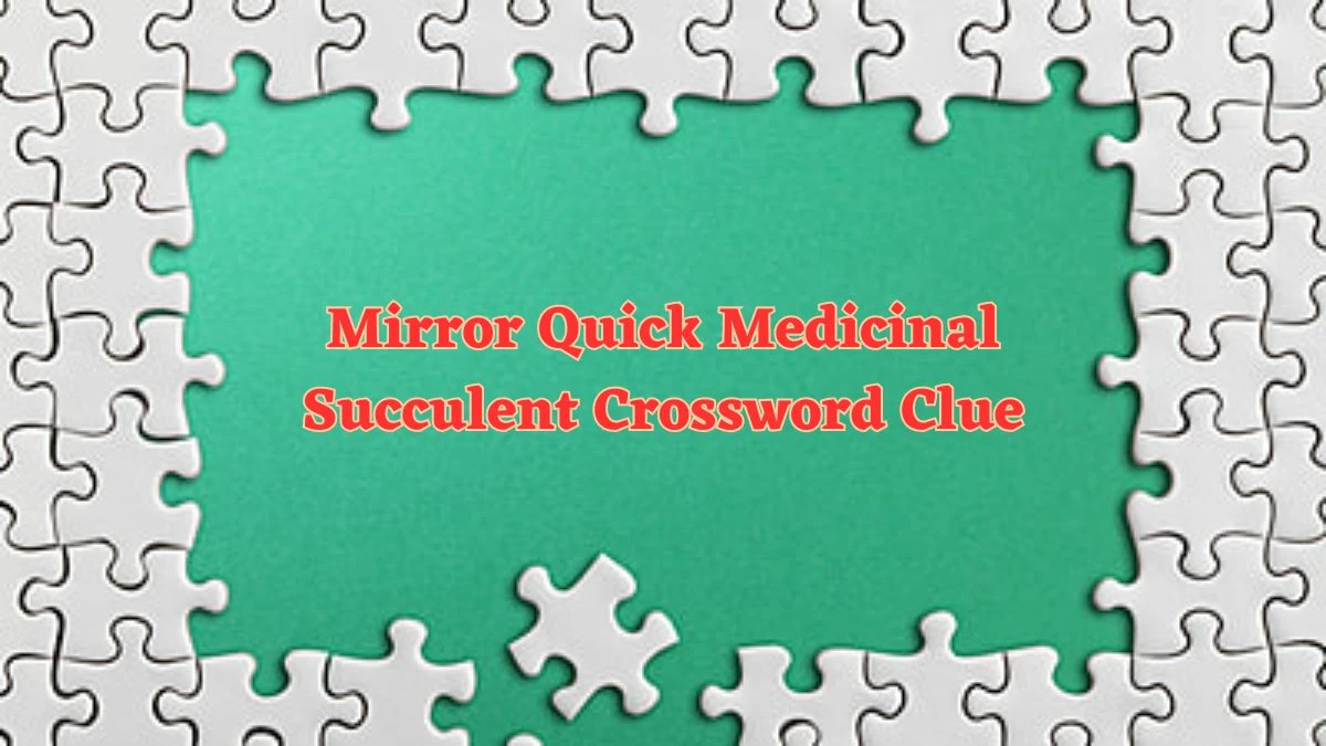 Mirror Quick Medicinal Succulent Crossword Clue and Answer for June 21, 2024