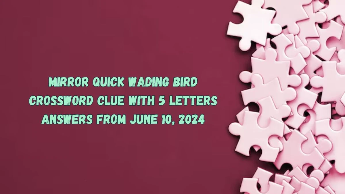 Mirror Quick Wading Bird Crossword Clue with 5 Letters Answers from June 10, 2024