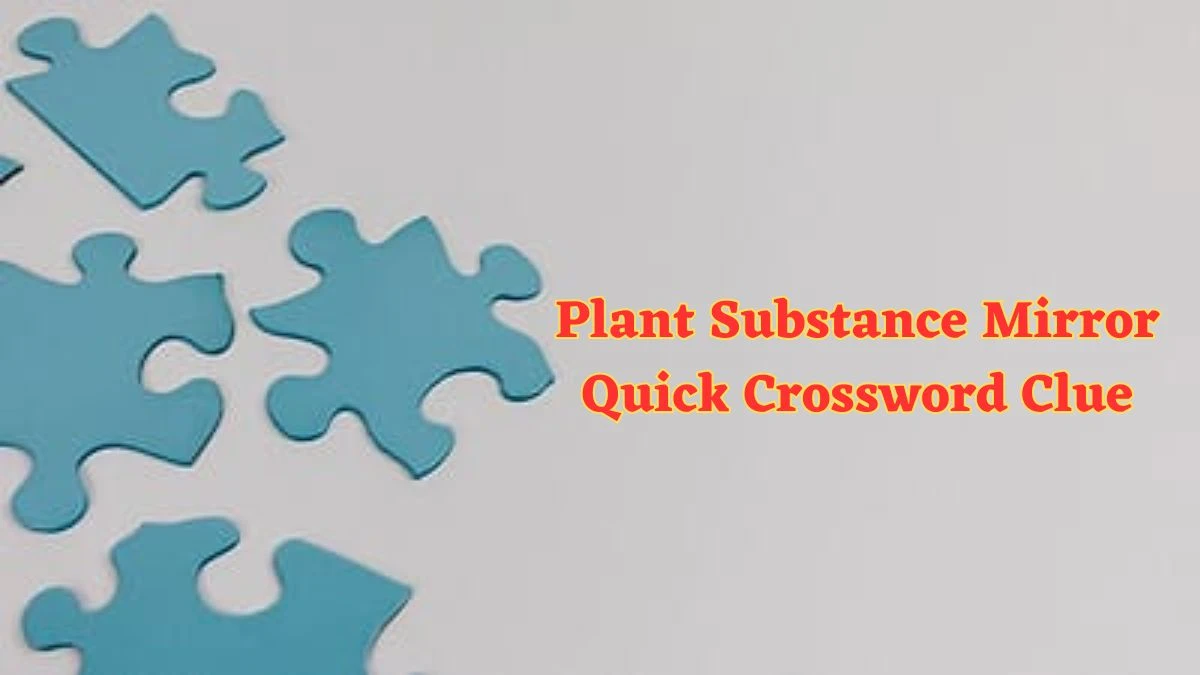 Plant Substance Mirror Quick Crossword Clue with 9 Letters Answers from June 20, 2024