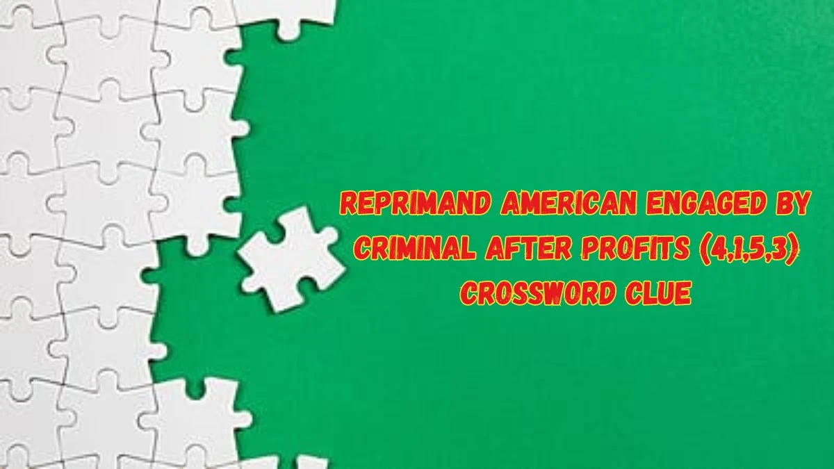 Reprimand American Engaged by Criminal After Profits (4,1,5,3) Crossword Clue with 13 Letters from June 05, 2024 Answer Revealed