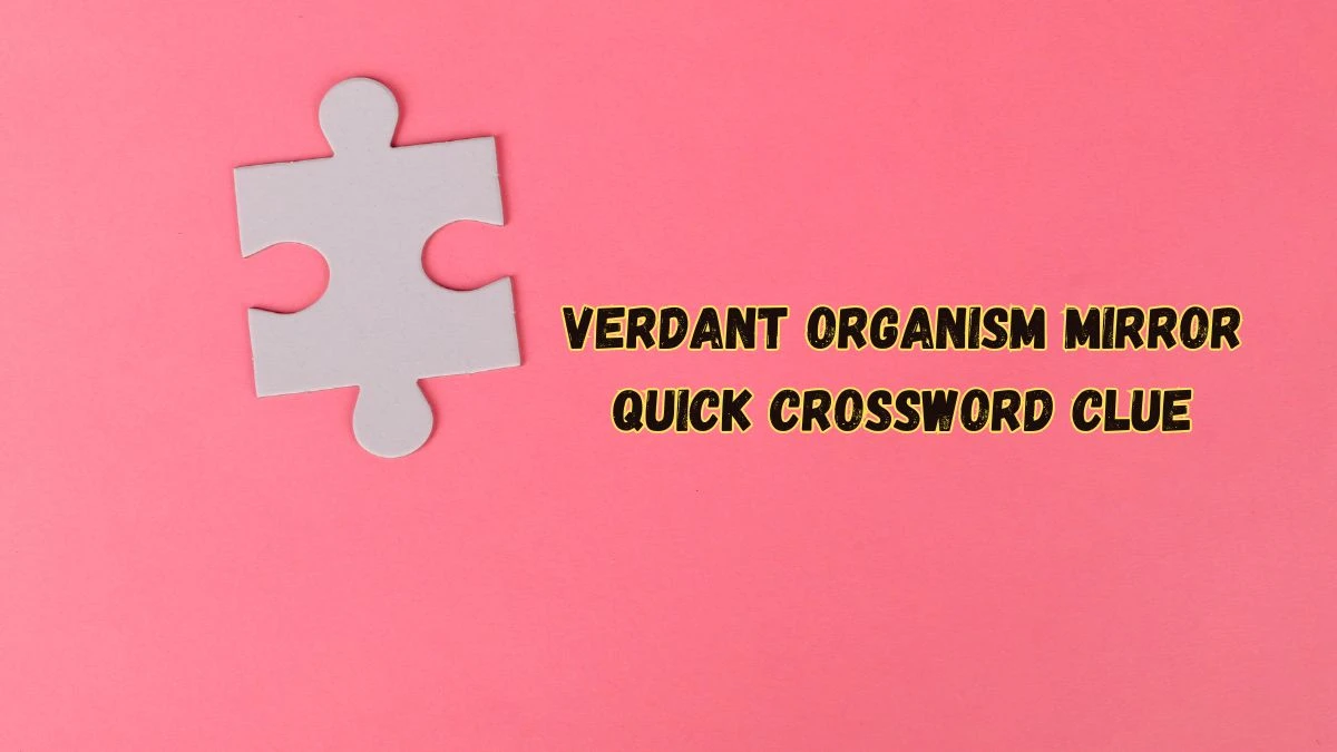 Verdant organism Mirror Quick Crossword Clue From June 03, 2024