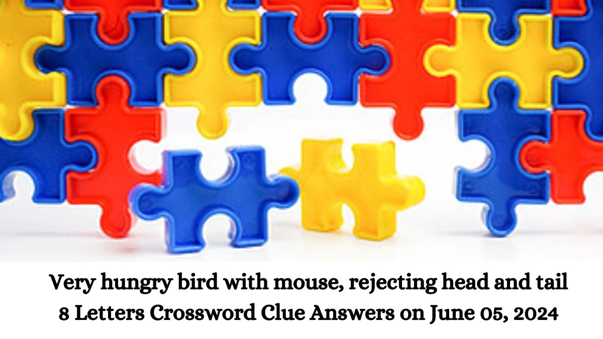Very hungry bird with mouse, rejecting head and tail 8 Letters Crossword Clue Answers on June 05, 2024