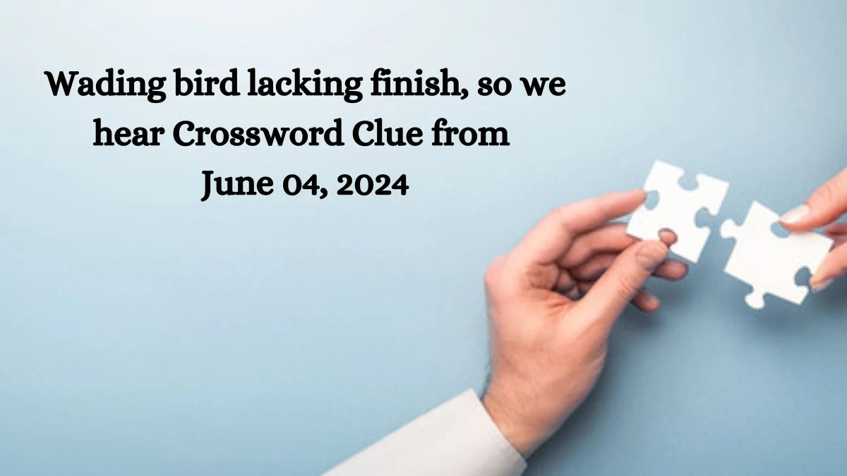 Wading bird lacking finish, so we hear Crossword Clue from June 04, 2024